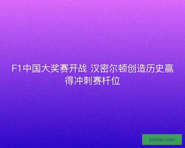 F1中国大奖赛开战 汉密尔顿创造历史赢得冲刺赛杆位 F1中国大奖赛开战 汉密尔顿创造历史赢得冲刺赛杆位